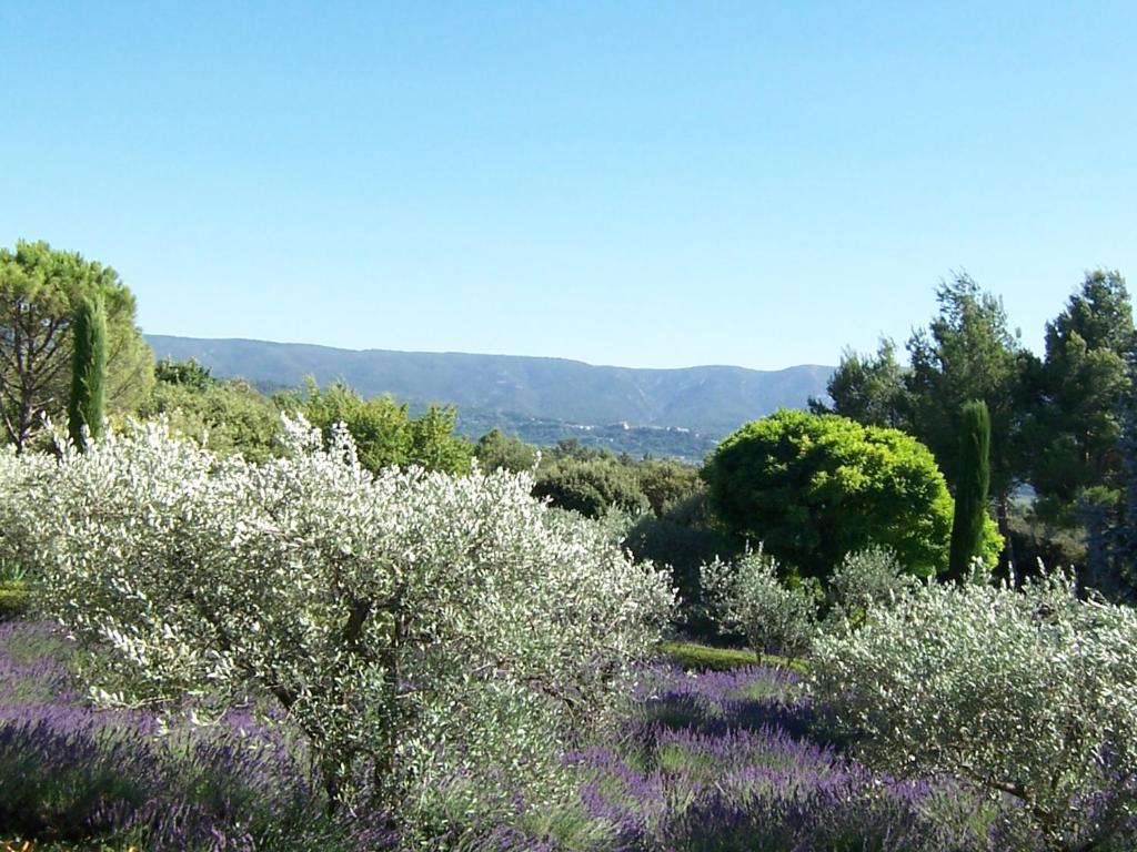 Lou Granos Bed & Breakfast Gordes Oda fotoğraf